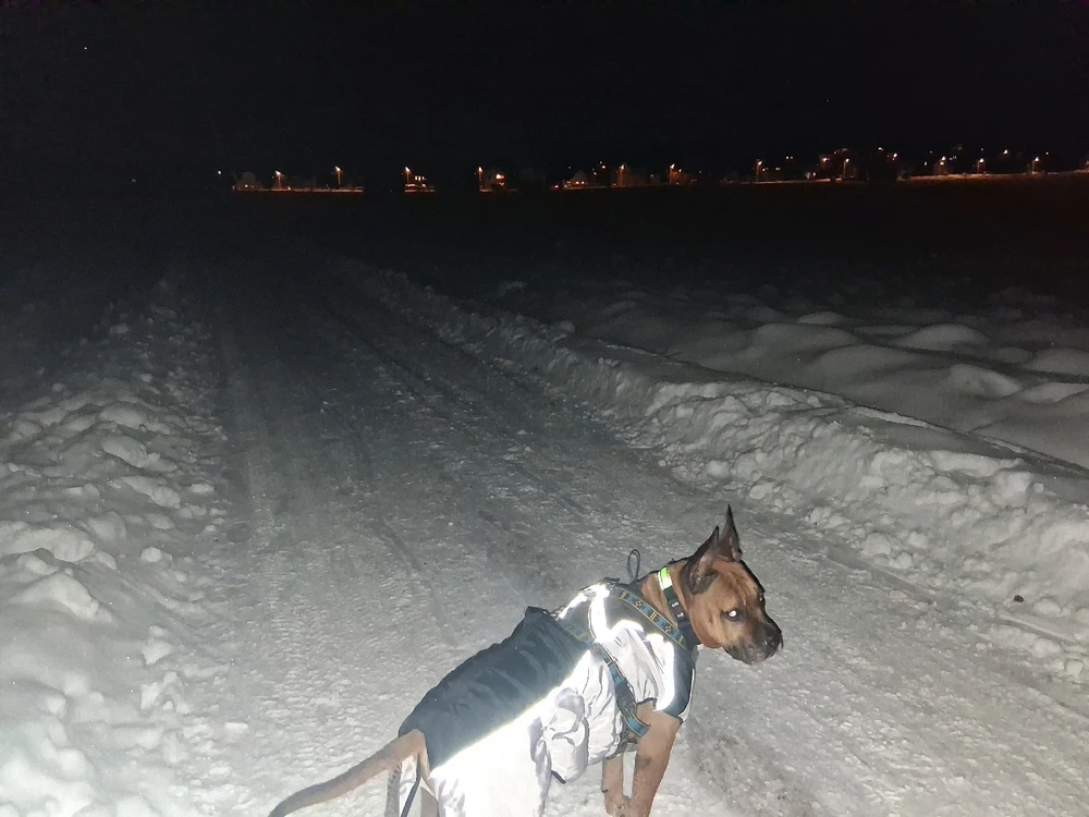 Obrázek nahrál Miko