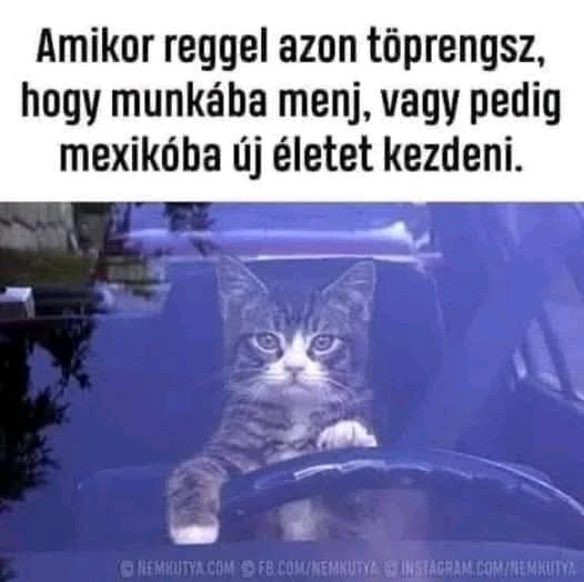 Gábor által feltöltött GIF