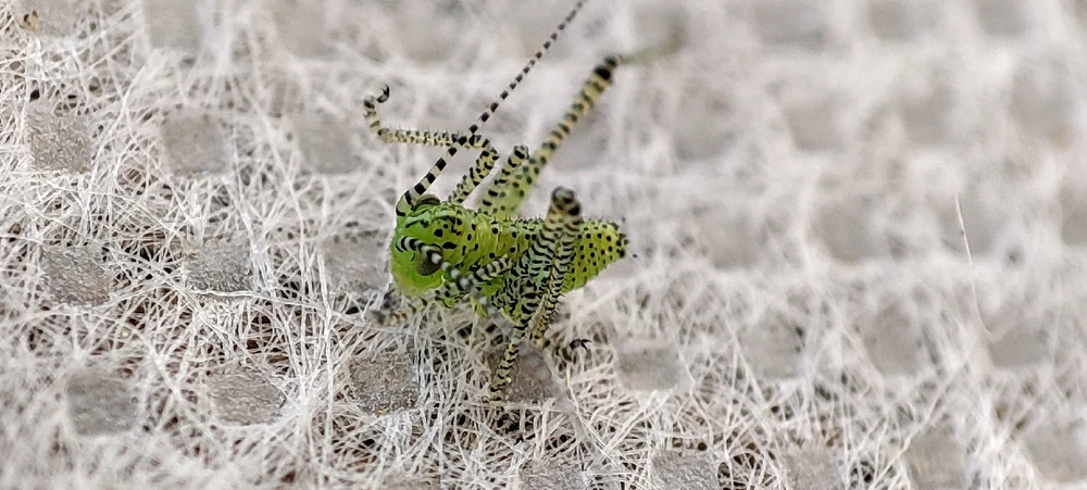 GIF ajouté par Alex