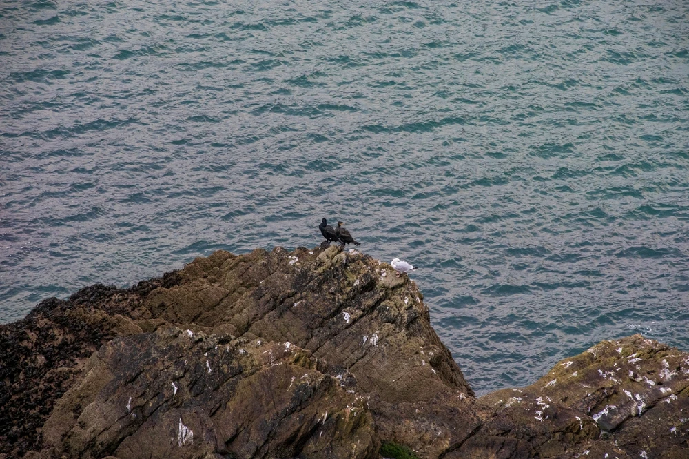 Image uploaded by Andy