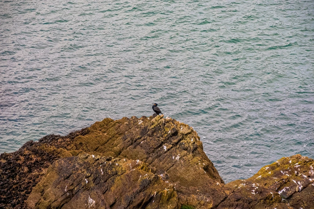 Image uploaded by Andy