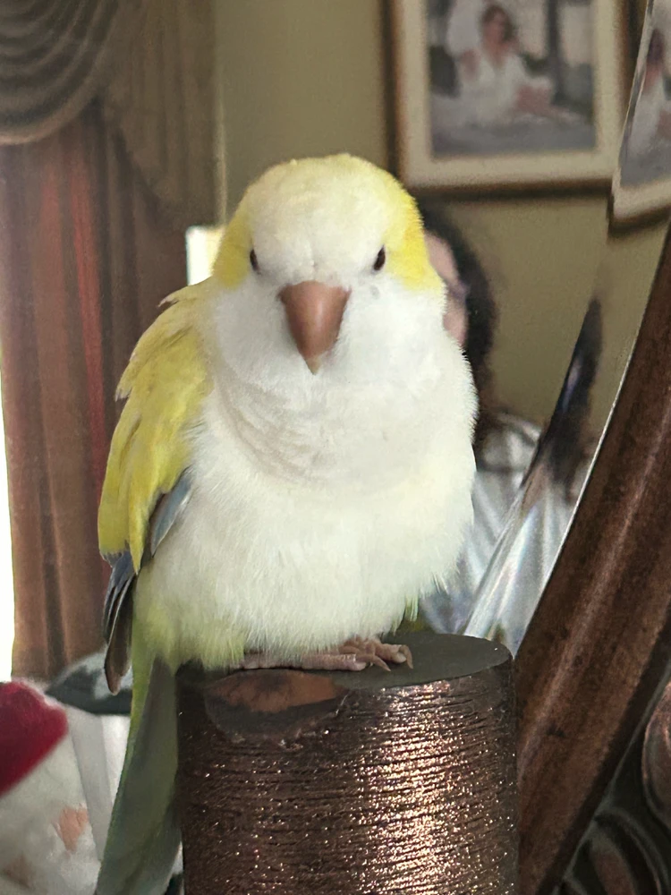 GIF uploaded by Alexa