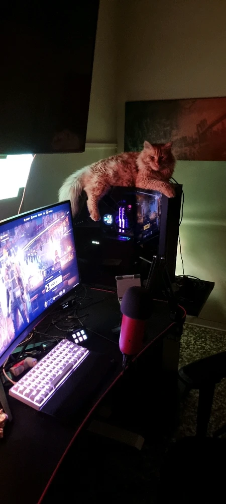 GIF caricata da Daniele