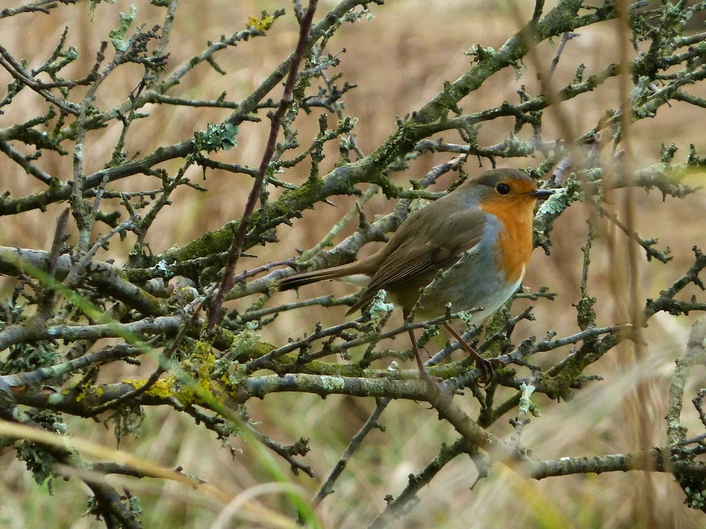 GIF ajouté par Oriane