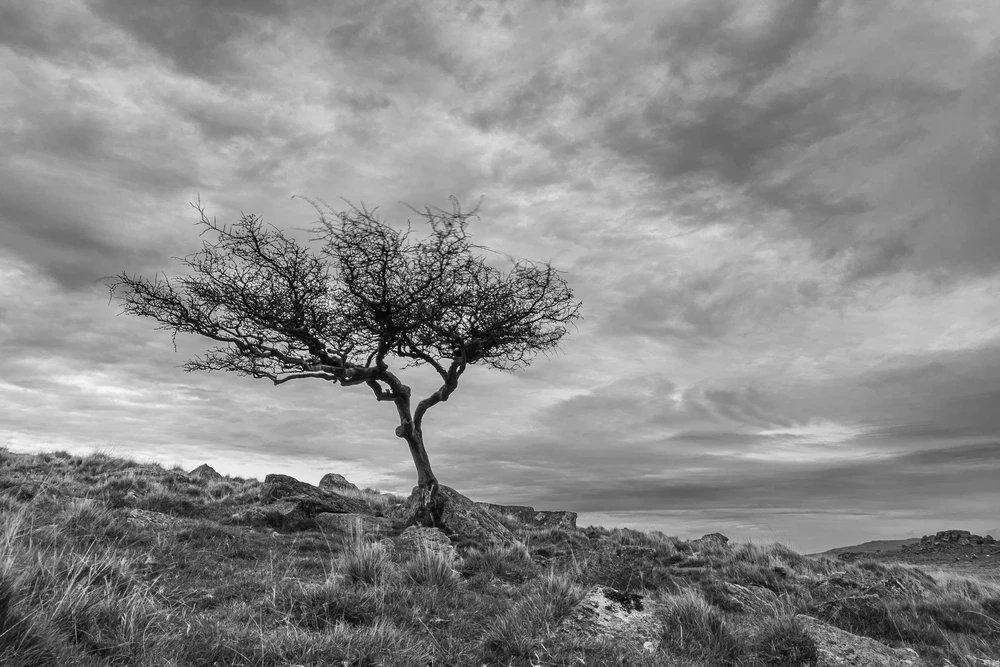 Image uploaded by Friedrich