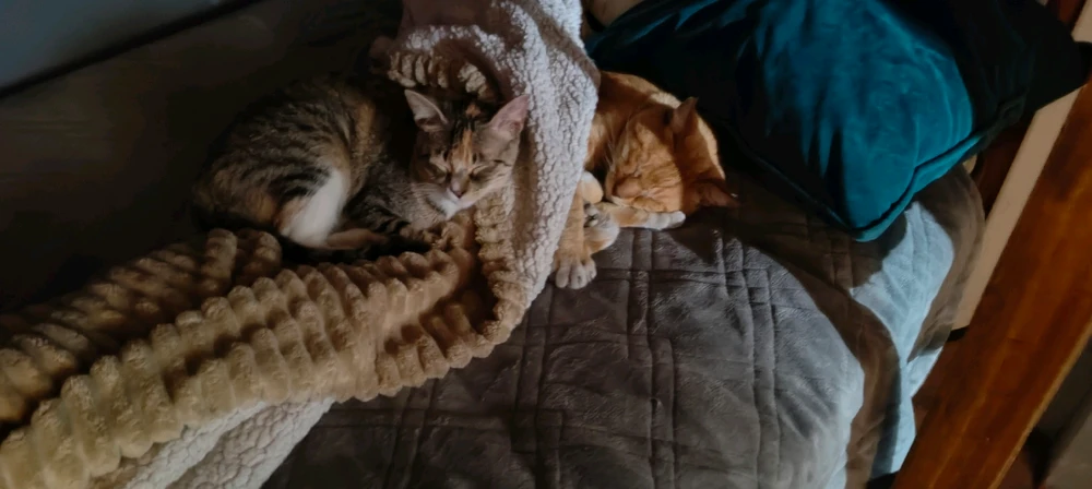 GIF subido por Dimas