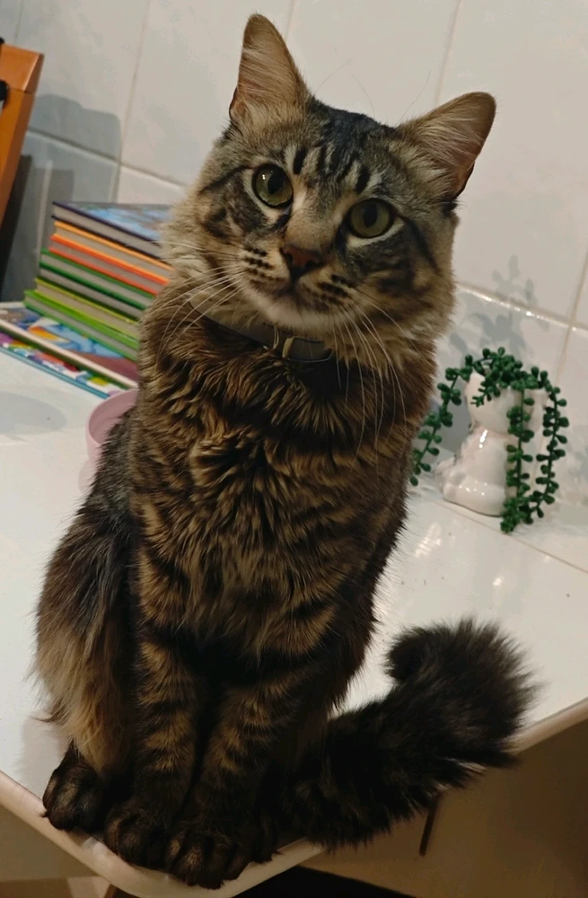 GIF subido por Gisela