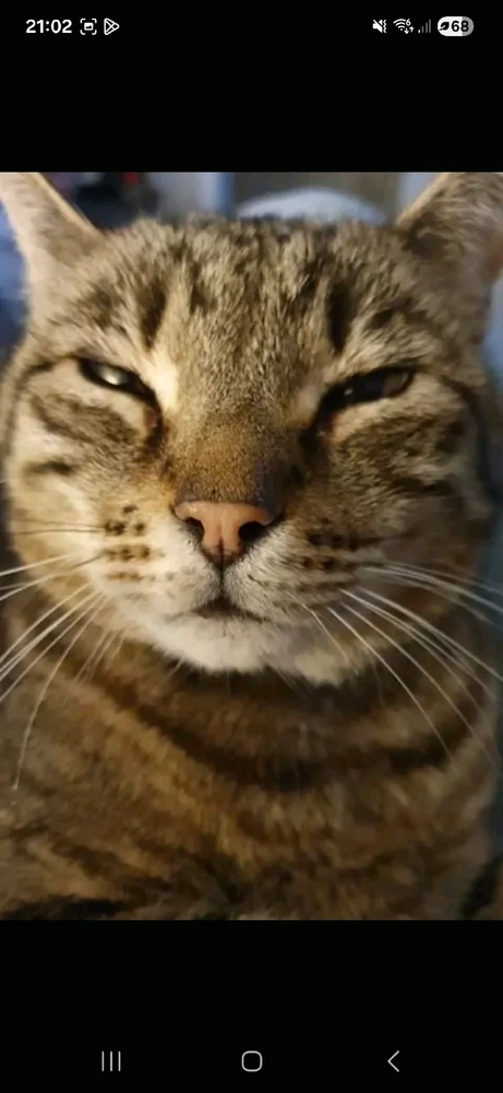 GIF uploaded by Cherry