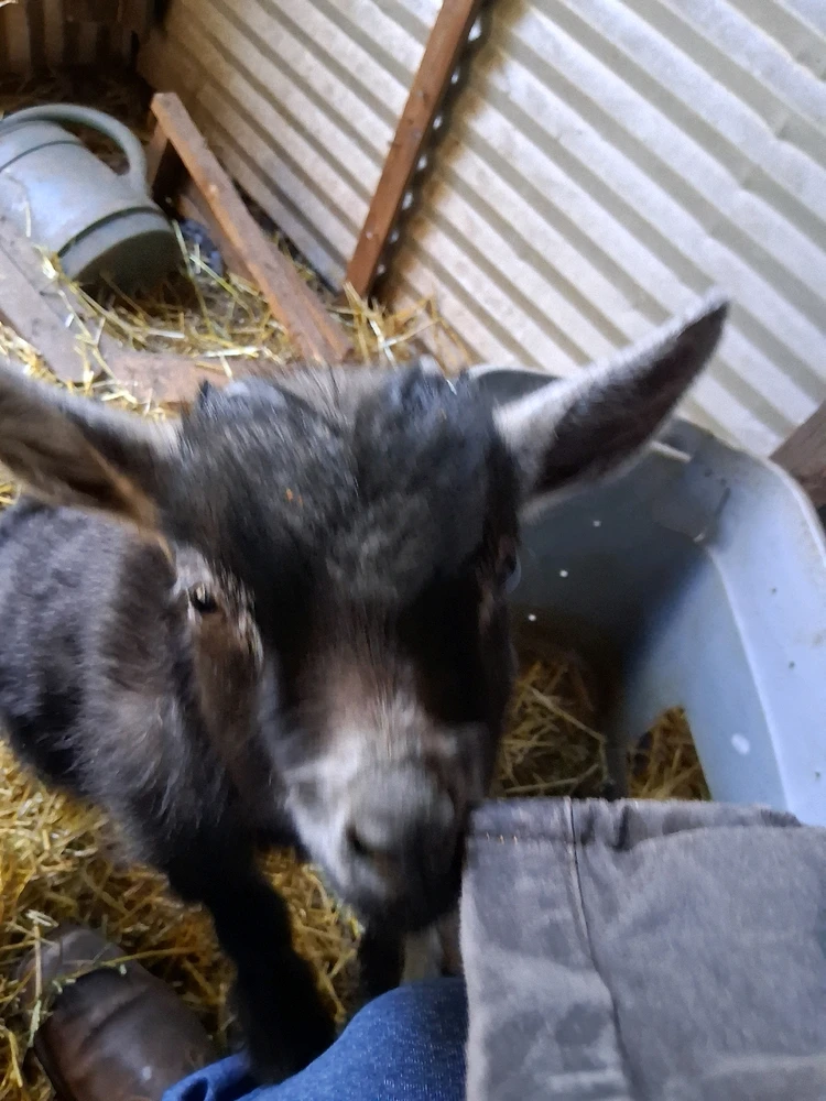 Image uploaded by Corey