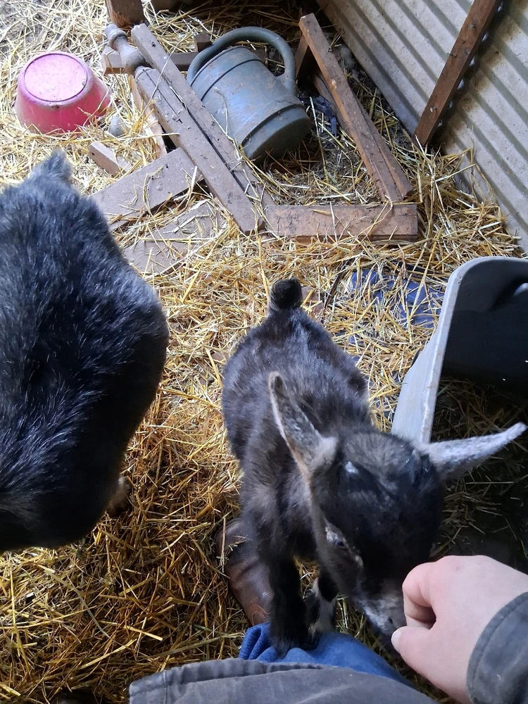 Image uploaded by Corey