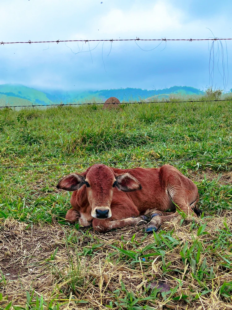 Imagem enviada por Ricardo