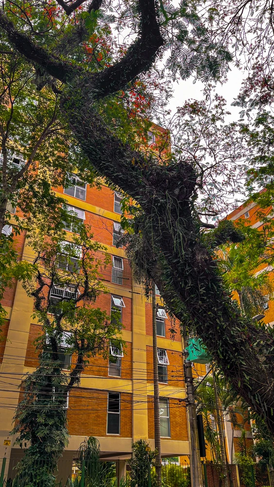 Imagem enviada por Ricardo