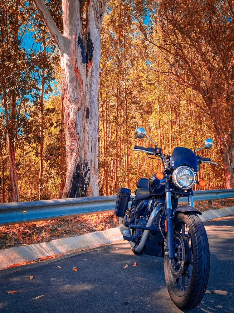 Imagem enviada por Ricardo