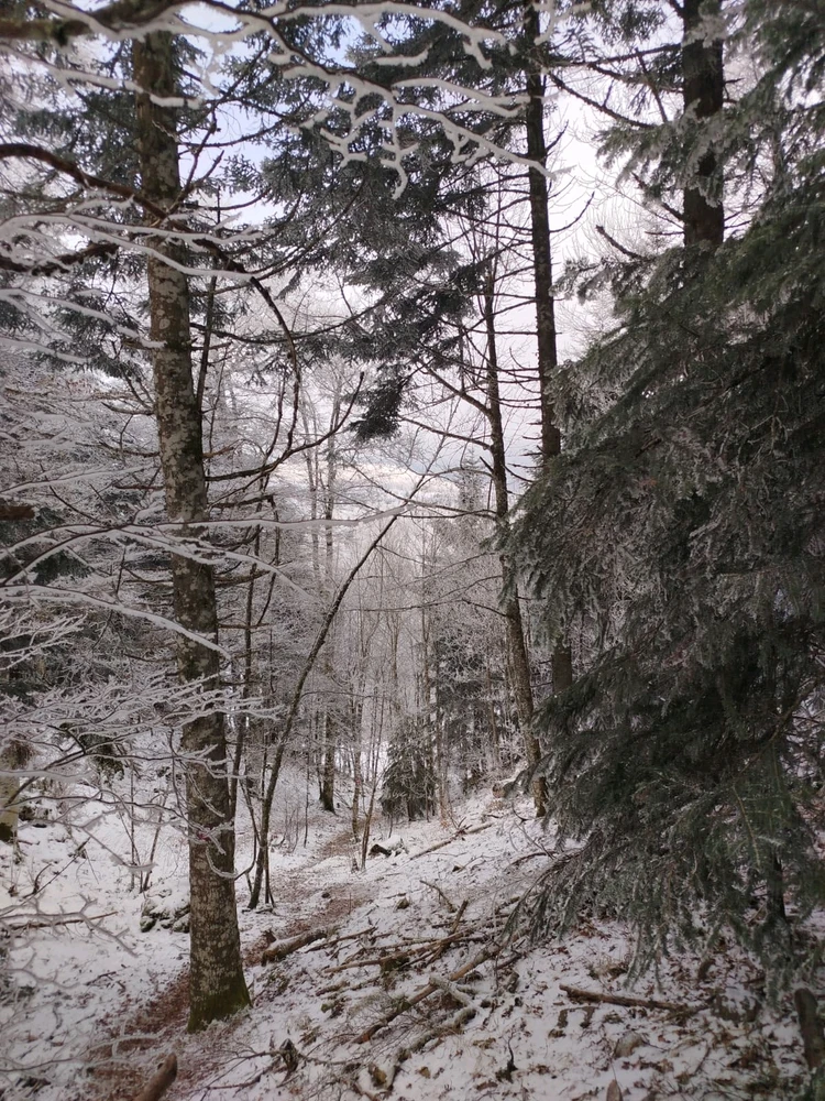 Image ajoutée par AudeKazoo