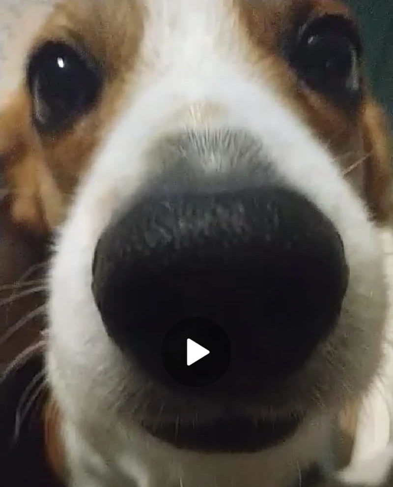 Immagine caricata da Kevin