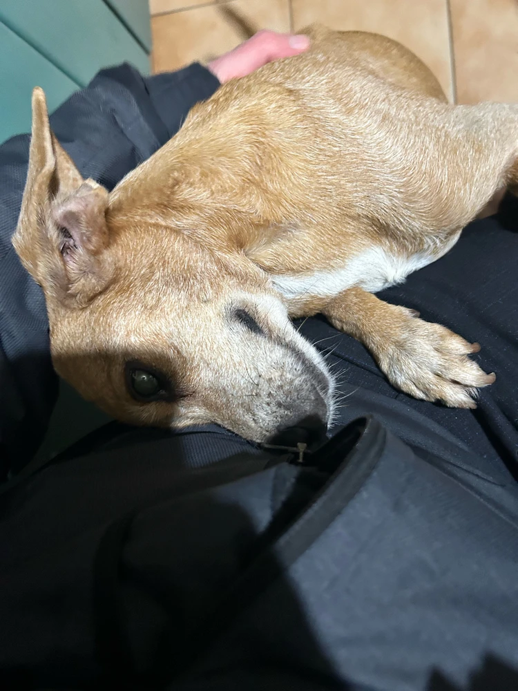 Immagine caricata da Kevin