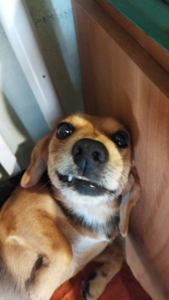 Immagine caricata da Kevin