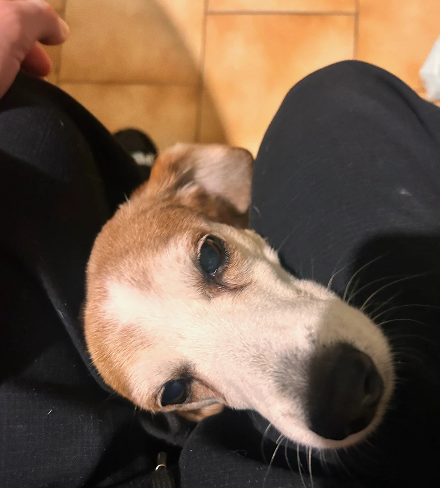 Immagine caricata da Kevin