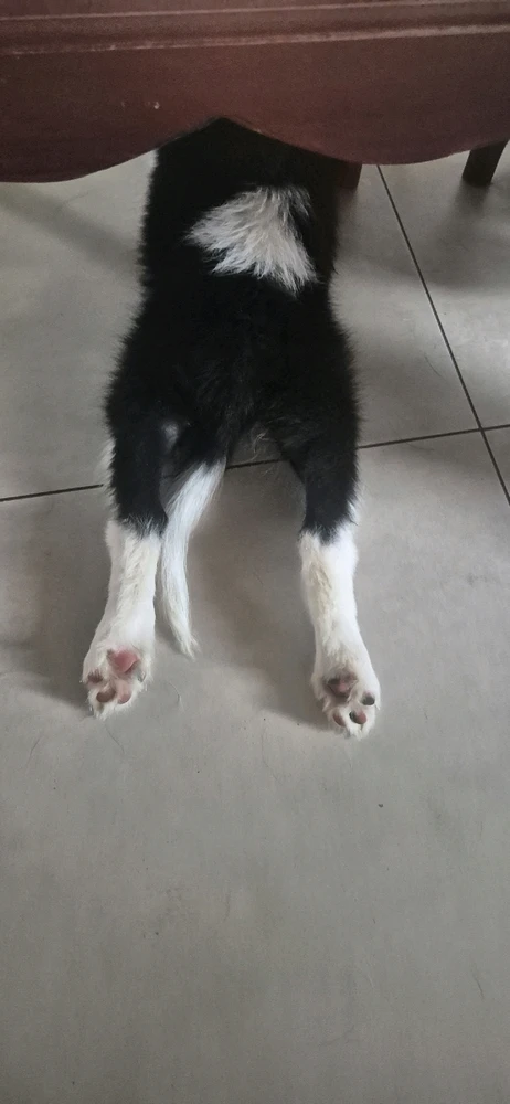 GIF uploaded by Sandz