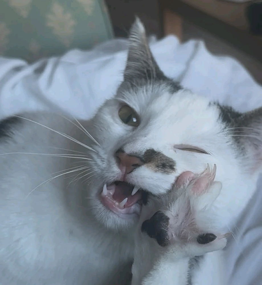 GIF uploaded by Kelly