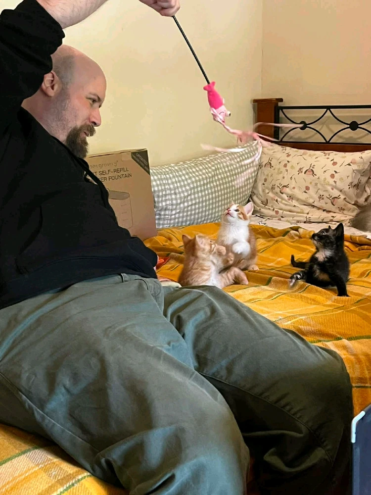 Image uploaded by Sean