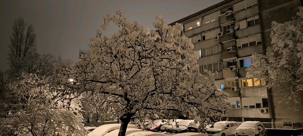 Image uploaded by Igor