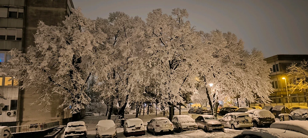 Image uploaded by Igor