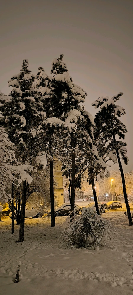 Image uploaded by Igor