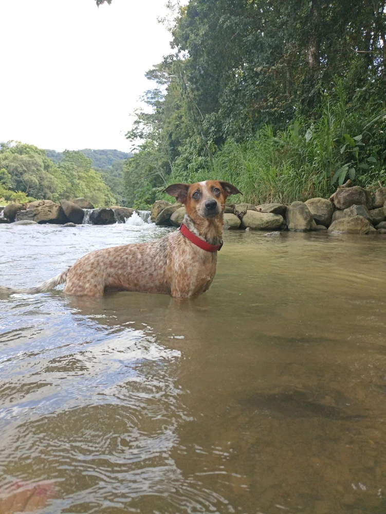 Imagen subida por Karo