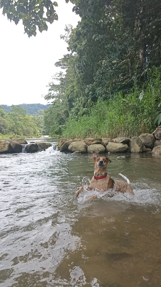 Imagen subida por Karo