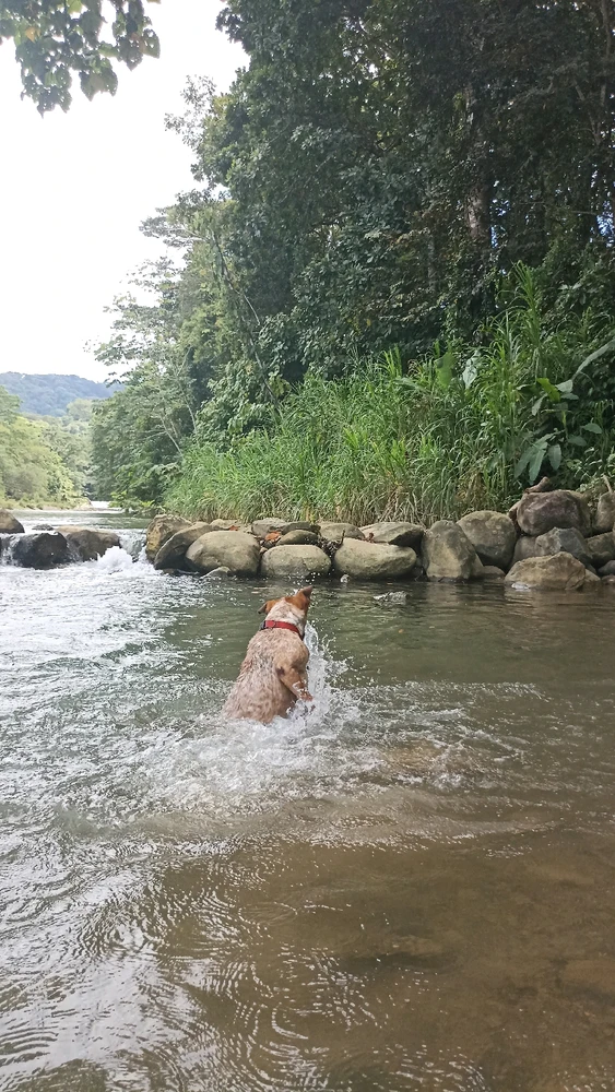 Imagen subida por Karo