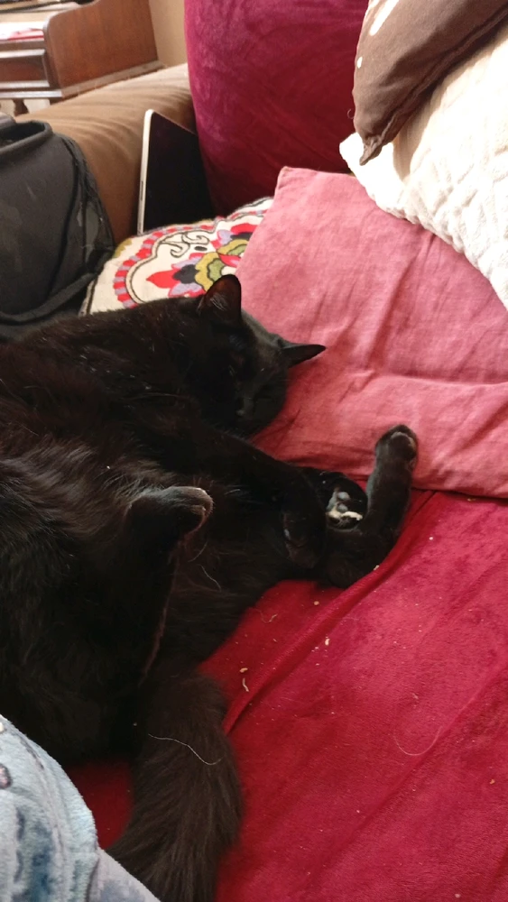 Immagine caricata da Beat