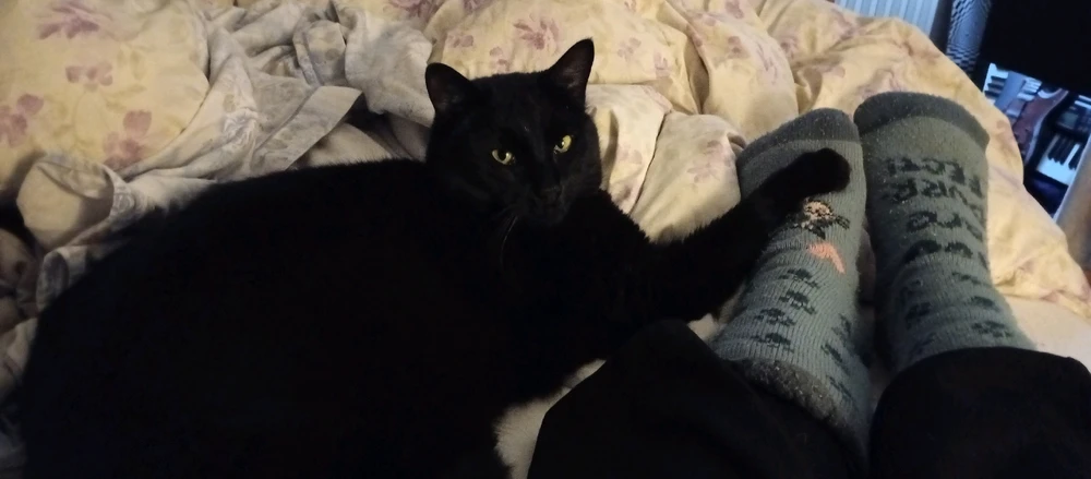 Immagine caricata da Beat