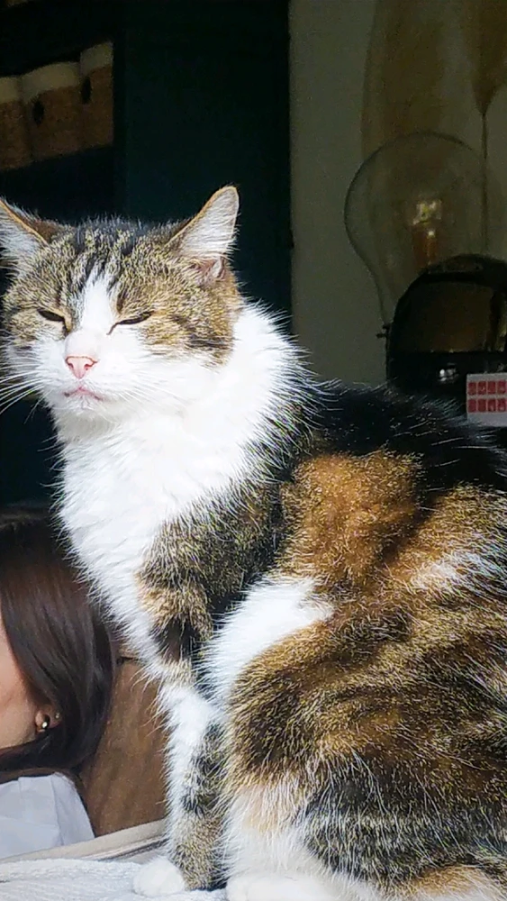 GIF ajouté par Calvin