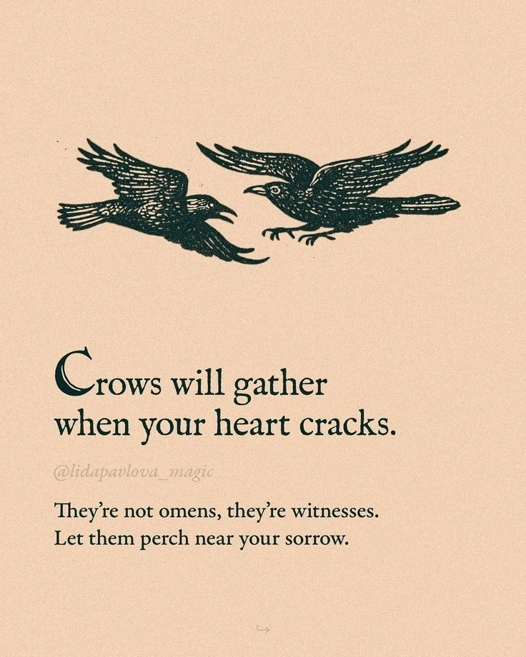 GIF uploaded by Sandz