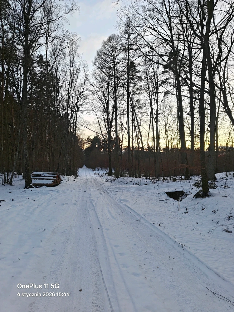 Zdjęcie dodane przez Adam