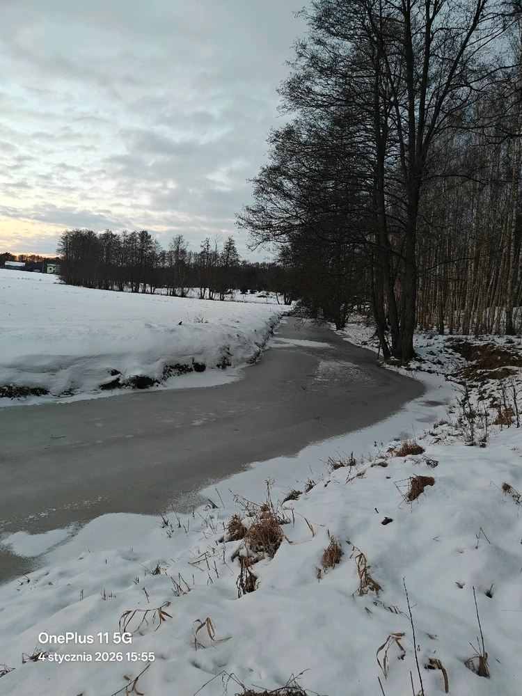 Zdjęcie dodane przez Adam