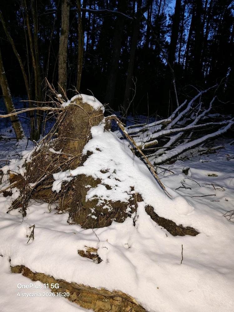 Zdjęcie dodane przez Adam