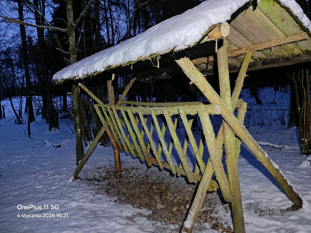 Zdjęcie dodane przez Adam