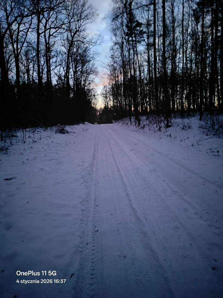 Zdjęcie dodane przez Adam