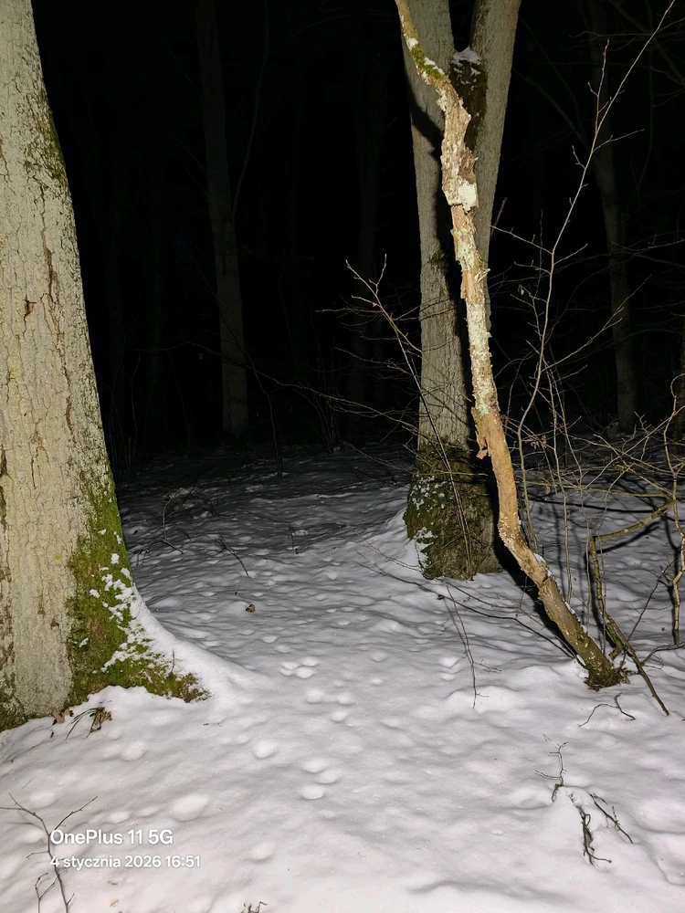 Zdjęcie dodane przez Adam
