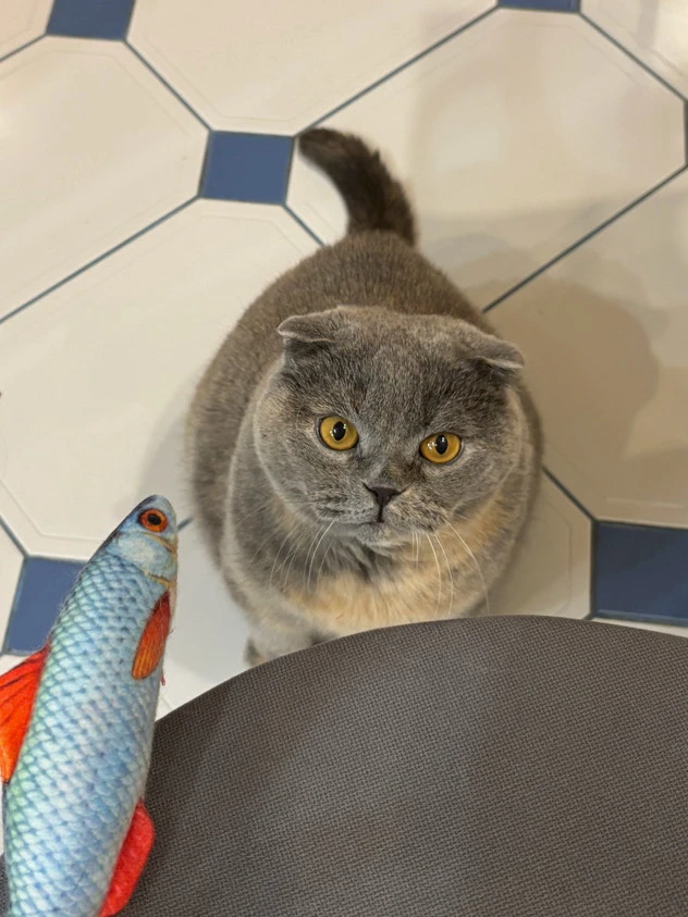 Image uploaded by Lin