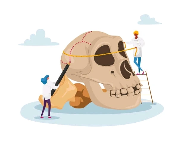 Imagem enviada por Patrícia