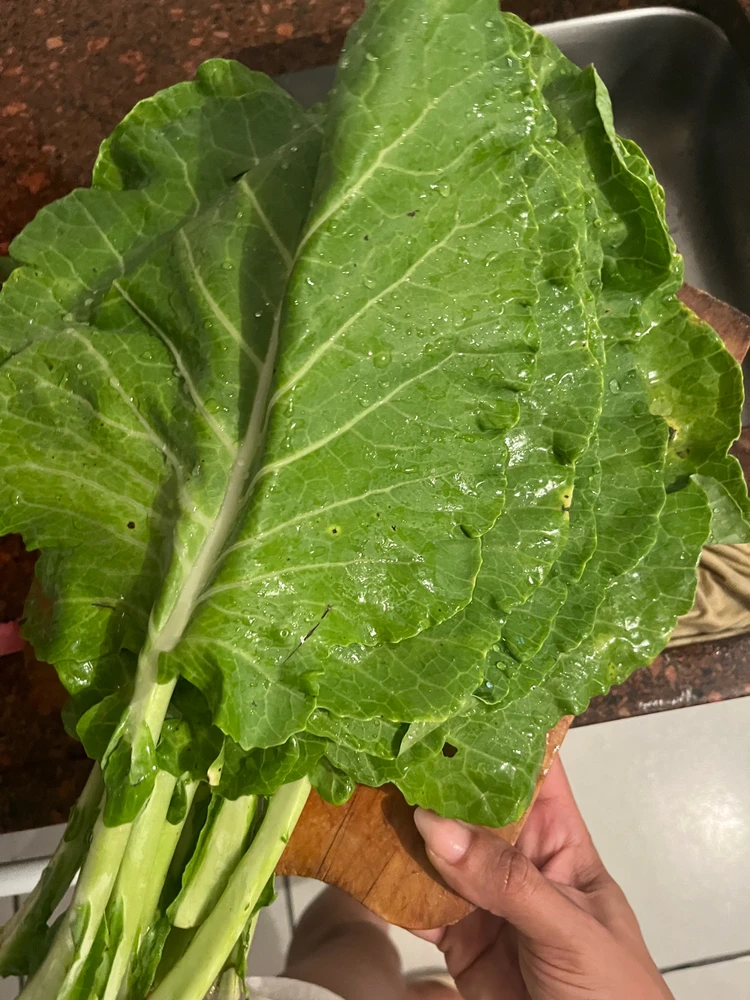 Imagem enviada por Ali