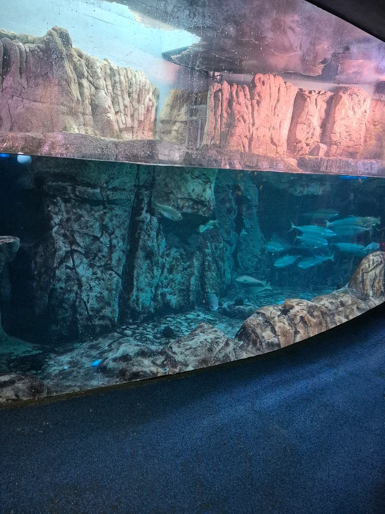 GIF uploaded by Jeffery