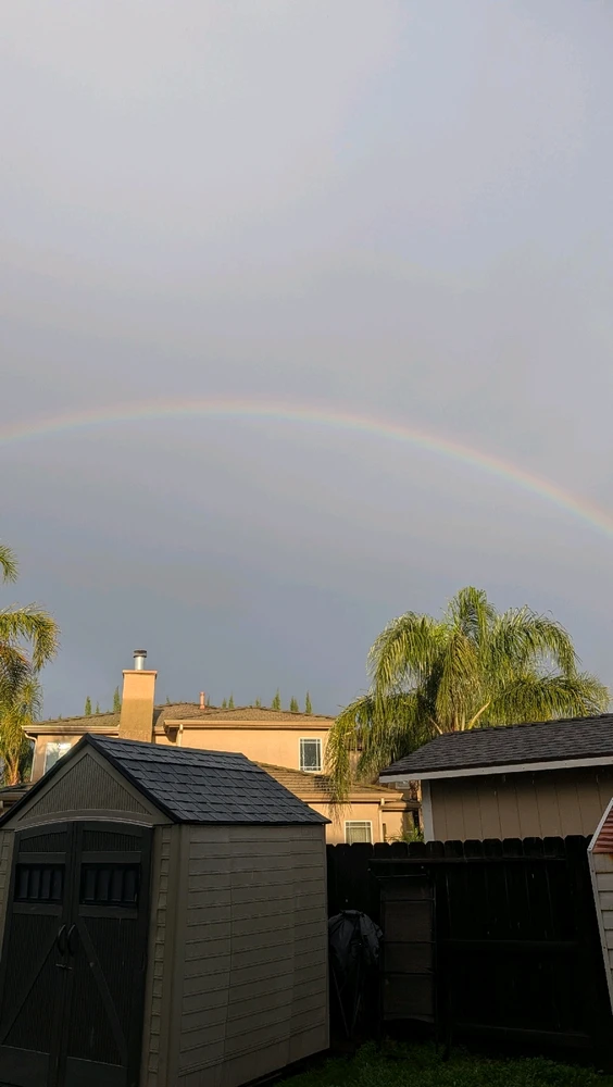 Image uploaded by Joseph