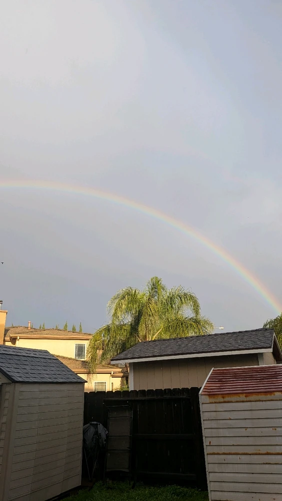 Image uploaded by Joseph