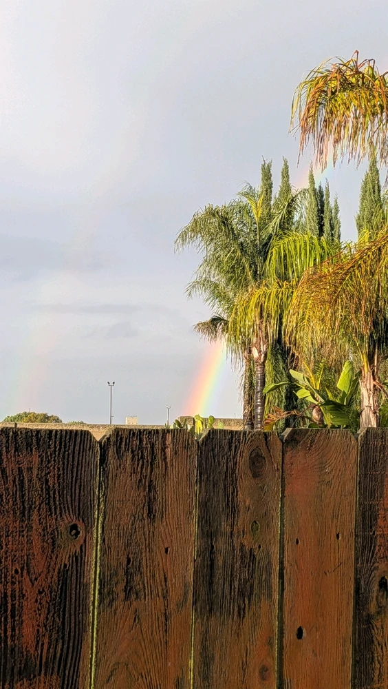 Image uploaded by Joseph