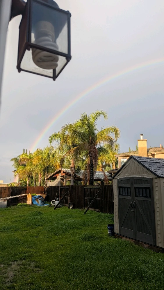 Image uploaded by Joseph