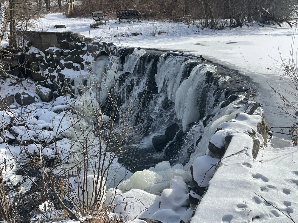 Image uploaded by Robbie